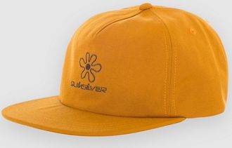Quiksilver Lenny Cap braun