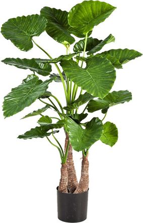 Baq Lebensechte Kunstpflanze Alocasia Calidora, Höhe 120 cm