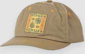 Stance Standard Adjustable Cap grau