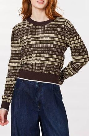 Scotch & Soda Crewneck Crop Pullover in Seal Brown/Reed Yellow at Nordstrom Rack, Size X-Small