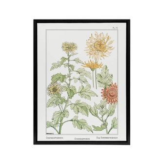 Artery8 Chrysanthemum Framed Canvas Wall Art Print Vintage Floral Verneuil in White | Size: W24 x H32