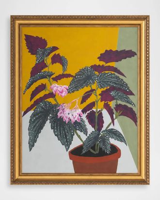 John-Richard Polka Dot Begonia Framed Giclee by Michael Pfleghaar