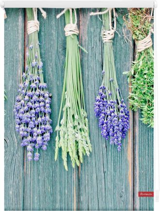 Lichtblick Original Seitenzugrollo »Klemmfix Motiv Küchenkraüter« Lichtschutz ohne Bohren freihängend bedruckt