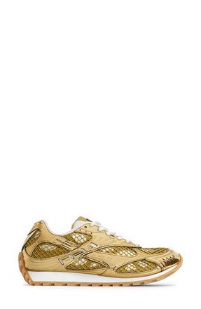 Bottega Veneta Orbit Low Top Sneaker in 7043 Gold/White at Nordstrom, Size 11Us