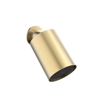 Crosswater Tranquil hoofddouche - 1 stand - geborsteld messing