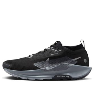 Nike Pegasus Trail 5 Gore-Tex Black Wolf Grey FQ0908-001