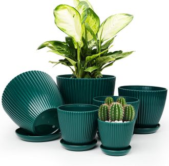OEM Macetas De Interior Con Plato Y Drenaje - Juego De 6 - Macetas De Pl&aacute;stico Para Interior - Tama&ntilde;os Disponibles: 7,5/6,6/5,8/5,0/4,3/3,5 Pulgadas, Apta