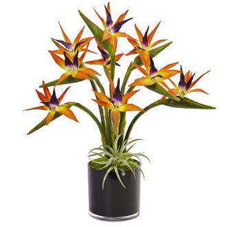 Nearly Natural 24-in Bird of Paradise Artificial Arrangement in Black Glossy Cylinder in Orange at Nordstrom