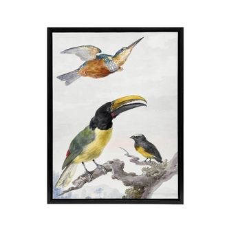 Artery8 Kingfisher Toucan Bird & a Sparrow Schouman Framed Canvas Wall Art in White | Size: W24 x H32