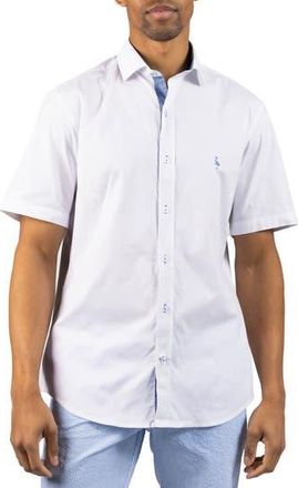 Tailorbyrd Signature Cotton Oxford Button-Up Shirt in White at Nordstrom Rack, Size Xx-Large