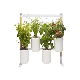 Pr&ecirc;t &agrave; Pousser Pr&ecirc;t &Agrave; Pousser - Huerto Interior Modulo