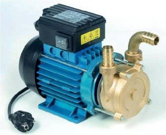 OEM Elettropompa Travaso 0,5 Hp Tellarini 1700 L/h 20 Mm