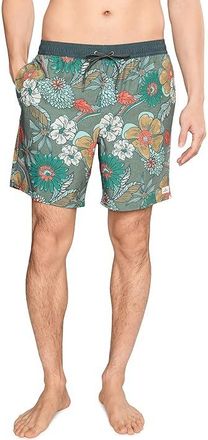 O'Neill Hermosa Ew Lined Trunk 17 Mens Swimwear Mulled Basil : 2XL (42-44 Waist), Elastane/Polyester