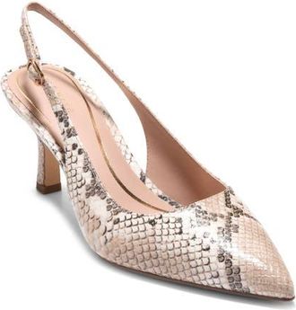 Cole Haan Hansell Slingback Pointed Toe Pump in Mojave Snake Print Leather at Nordstrom, Size 10.5