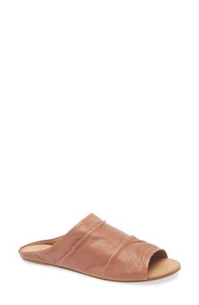 Pedro Garcia Perfecta Slide Sandal in Pecan Clarabelle Calf at Nordstrom, Size 10.5Us