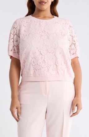 Tahari by ASL Lace Front Sweater in Tea Rose at Nordstrom, Size 3X