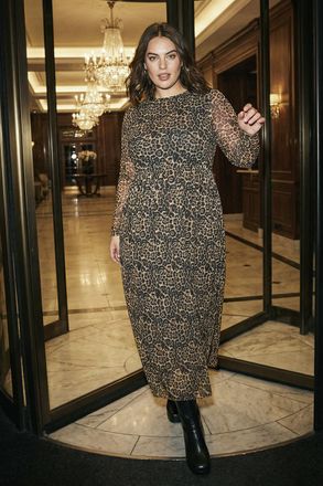 Roman Animal Print A-Line Stretch Dress