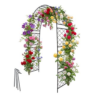 Relaxdays Relaxdays Arco De Jard&iacute;n De Metal, Soporte Para Plantas Trepadoras, 240 X 140 X 50 Cm, Negro