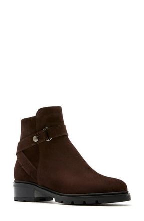 La Canadienne Steven City Dry Waterproof Bootie in Brunette Suede at Nordstrom, Size 6.5
