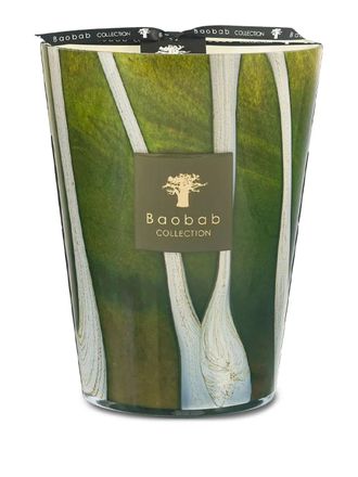 Baobab Woods Sherwood kaars (240 ml) - Groen
