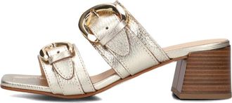 Stefano Lauran Schoenen, Dames, Geel, 39 EU, Leer, Elegante Sandalen met Moderne Twist