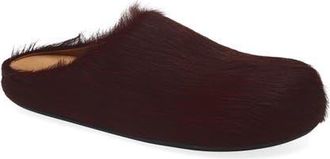 Marni Fussbett Sabot Genuine Calf Hair Clog in 00R81 Wild Cherry at Nordstrom, Size 9.5Us