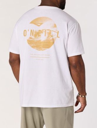 O'Neill Big & Tall Surf Sesh Graphic Tee in White at Nordstrom, Size Xxx-Large