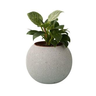 Be Home Atallo Cement Planter at Nordstrom