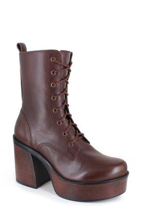 Ziginy Rocio Platform Lace-Up Boot in Brown at Nordstrom, Size 10