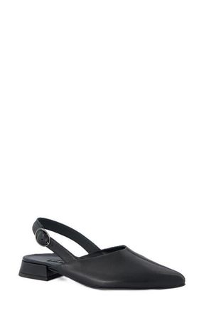 Paul Green Aladdin Slingback Point Toe Flat in Black Soft Nappa at Nordstrom, Size 10.5Us