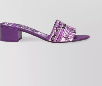 Dolce & Gabbana embroidered strap slide sandals with low block heel