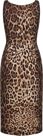 Dolce & Gabbana Womens Midi Dress Leopard Print Multicolour Silk
