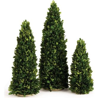 Napa Home & Garden Boxwood Mini Trees Set of 3 in Green at Nordstrom