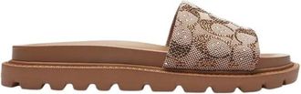 Coach Mujer, Zapatos, Marr&oacute;n, Talla: 36 EU