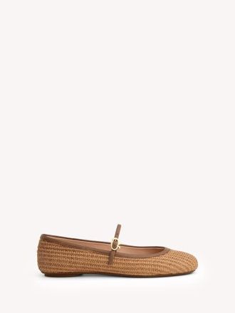 Gianvito Rossi Carla Ballerina in Brown at Nordstrom, Size 40.5