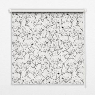 Tulup Tenda A Rullo Interna Per Finestra - Tenda Filtrante Luce - Tenda Privacy - Tenda Decorativa Rettangolare - Rullo Per Interni - (70 Cm X 140 Cm) - Can