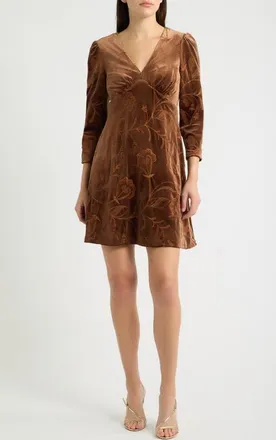 Eliza J Long Sleeve Embroidered Velvet Dress in Chocolate at Nordstrom, Size 14