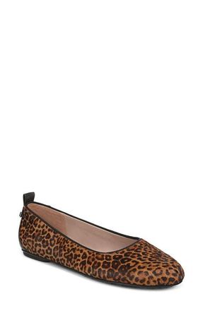 Naturalizer Ava Genuine Calf Hair Ballet Flat in Dark Chestnut at Nordstrom, Size 5.5