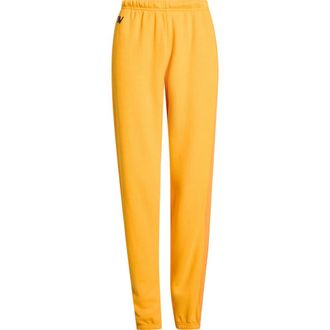 Aviator Nation Stripe Sweatpants in Gold at Nordstrom, Size X-Large