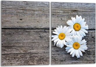 OEM Placa Protectora De Vidrio Para La Estufa 2x40x52 Daisy