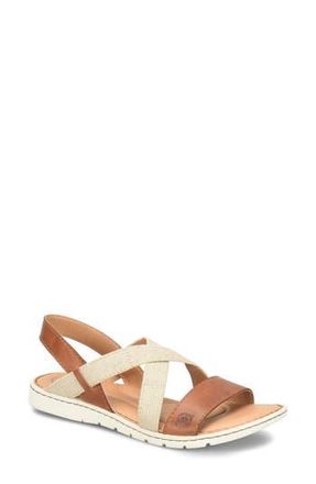 B&oslash;rn Barbe Strappy Sandal in Brown Combo at Nordstrom Rack, Size 11