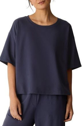 Eileen Fisher Boxy Crewneck T-Shirt in Ink at Nordstrom, Size Xx-Small