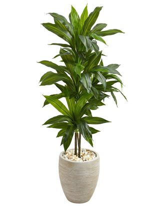 Nearly Natural 4Ft Dracaena Artificial Plant In Planter (Real Touch)