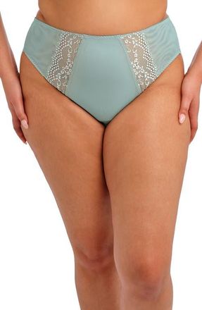 Elomi Lucie High Leg Briefs in Mist at Nordstrom, Size Xx-Large