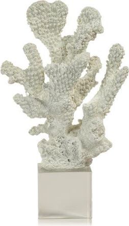 Zodax Coral on Base Decor in White/Clear at Nordstrom Rack