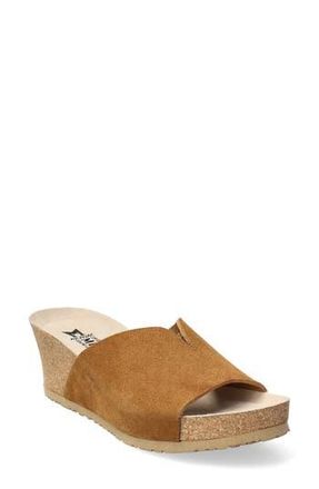 Mephisto Lisane Slide Sandal in Tobacco Sandvel at Nordstrom Rack, Size 8