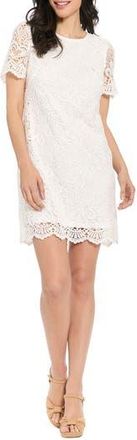 London Times Scalloped Lace Shift Dress in White at Nordstrom Rack, Size 10P