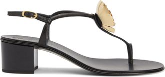 Giuseppe Zanotti Sophora