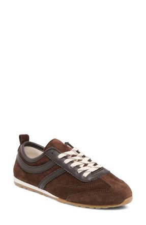 Dolce Vita Viper Sneaker in Dark Brown Suede at Nordstrom, Size 6.5