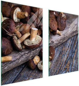 OEM Placa Protectora De Vidrio Para Estufa 75x52 Setas